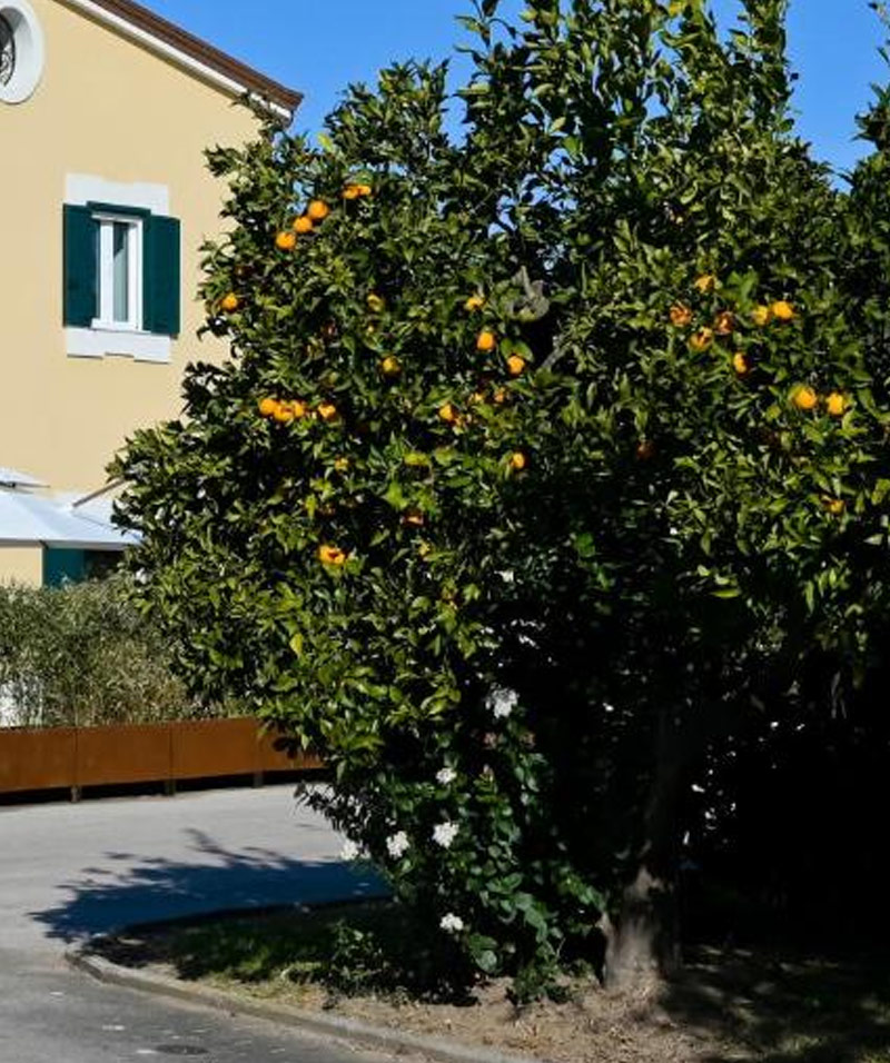 bed-breakfast-4