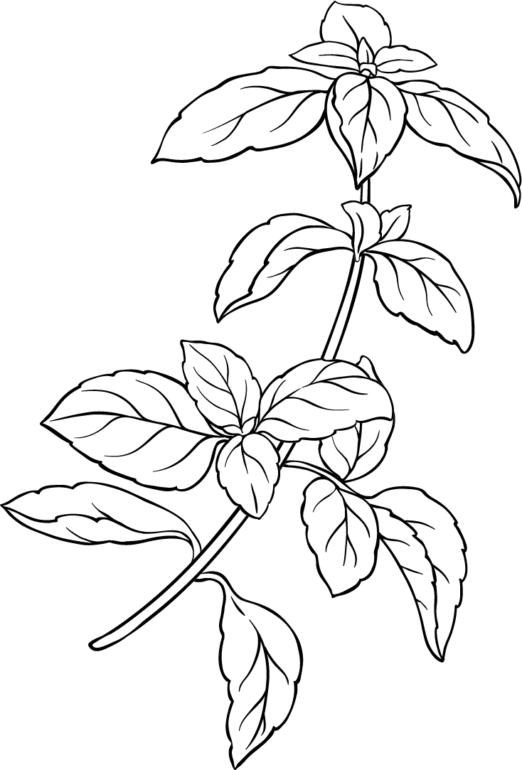 Decorazione foglia
