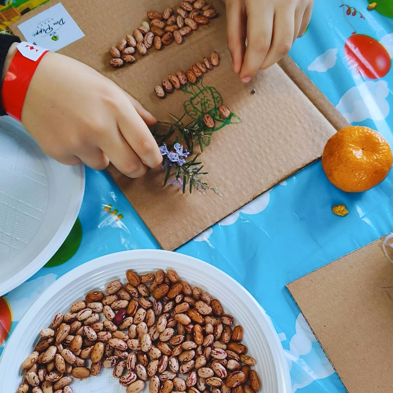 colori e profumi fattoria