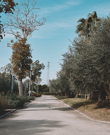 Viale